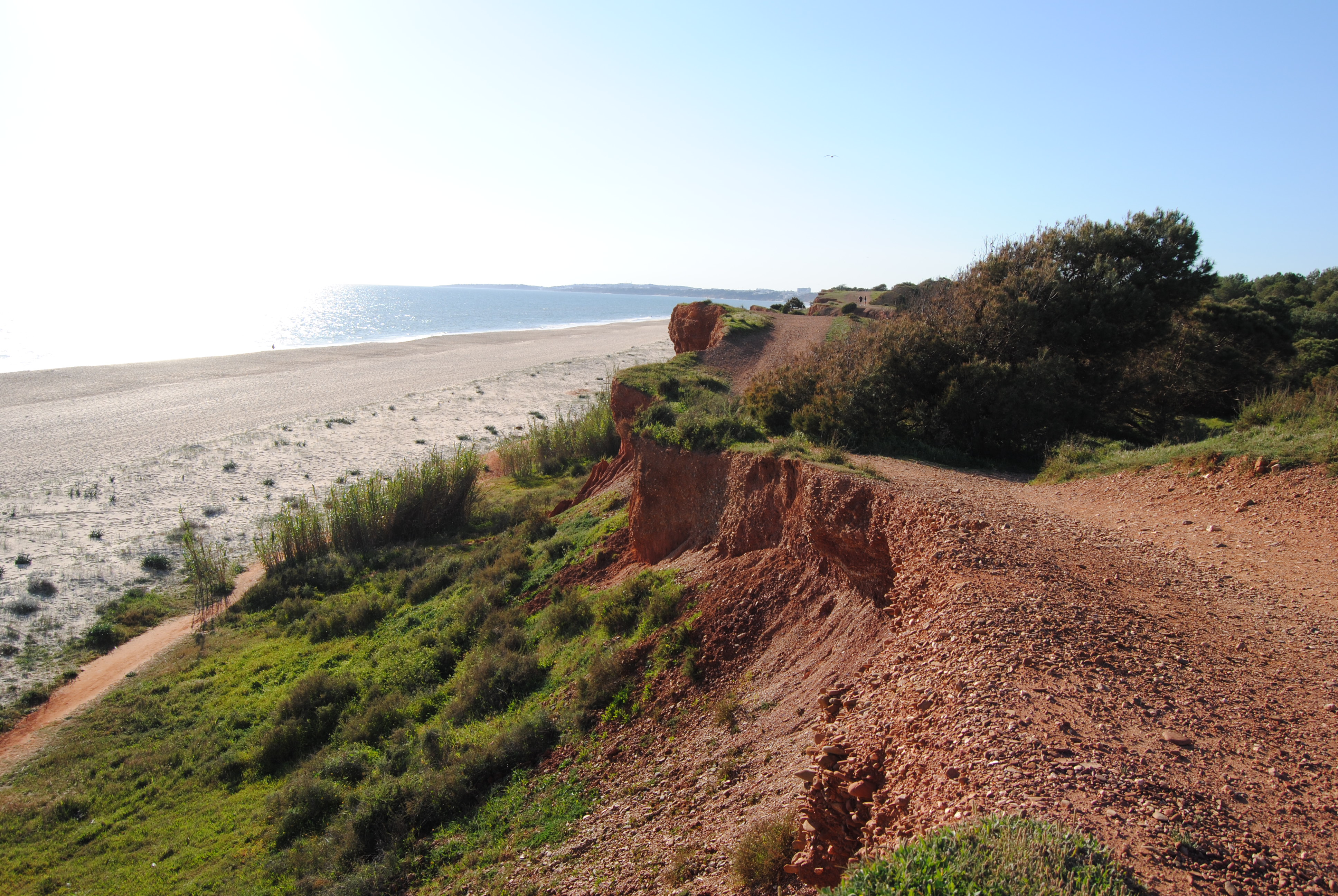 Tour entre Falésias e Pinhais: De Falésia a Vilamoura (2h Ride)