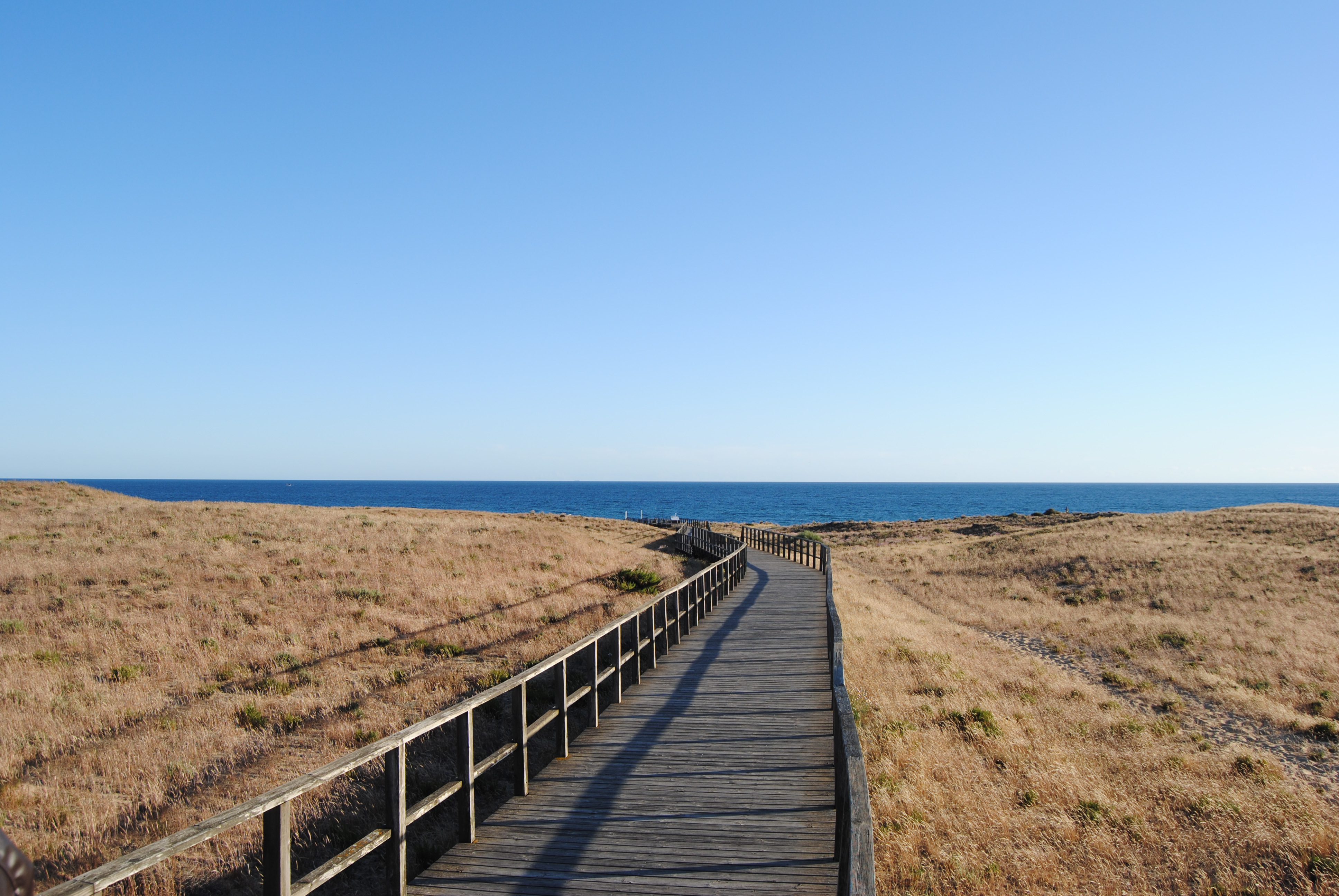 Descobrir a Lagoa dos Salgados: um refúgio natural entre dunas e o oceano