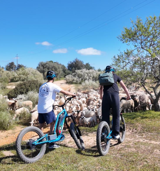 Troti-Bike WATT ADVENTURE ALGARVE